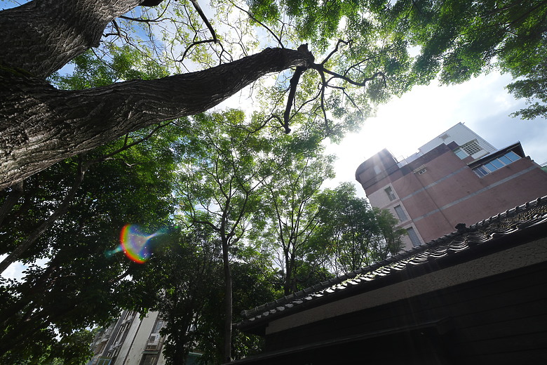 Samyang AF 14-24mm f/2.8 FE 評測報告｜誠意到位、僅 445 公克的超廣角變焦！