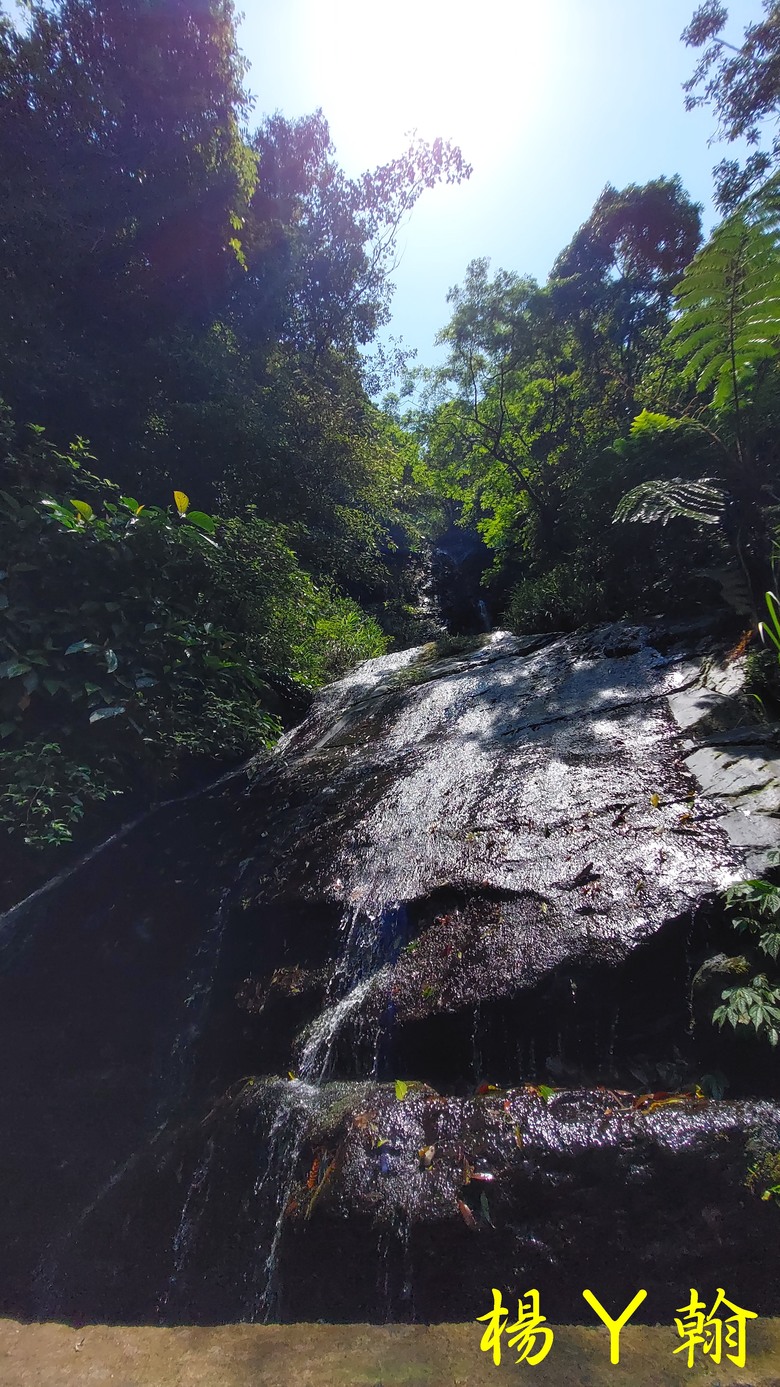 【郊山走走】擁有芬多精及負離子雙重享受的信賢步道