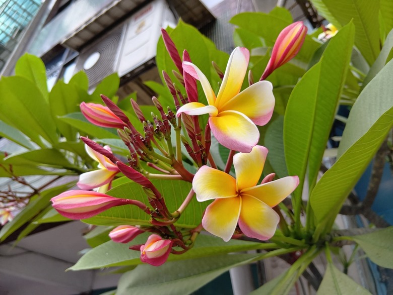 SHARP AQUOS wish5簡單開箱體驗