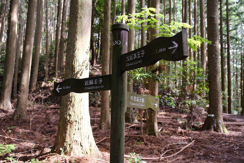 【熊野古道 Kumano Kodo】唯二的世界文化遺產朝聖之路 |中邊路38公里徒步之行