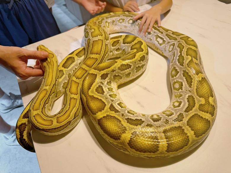 遊記|全台第一家爬蟲主題餐廳
