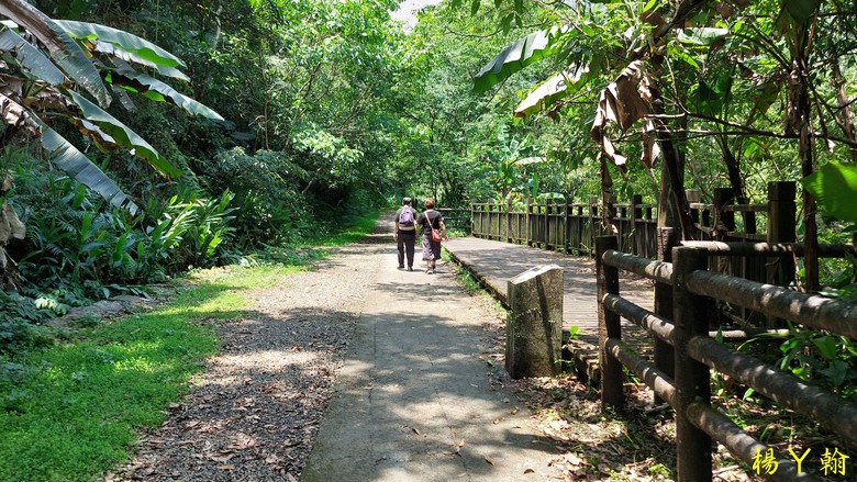 【郊山走走】擁有芬多精及負離子雙重享受的信賢步道