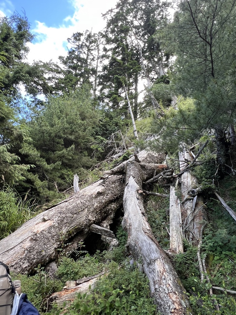 登鈴鳴閂山 ,被颱風追趕