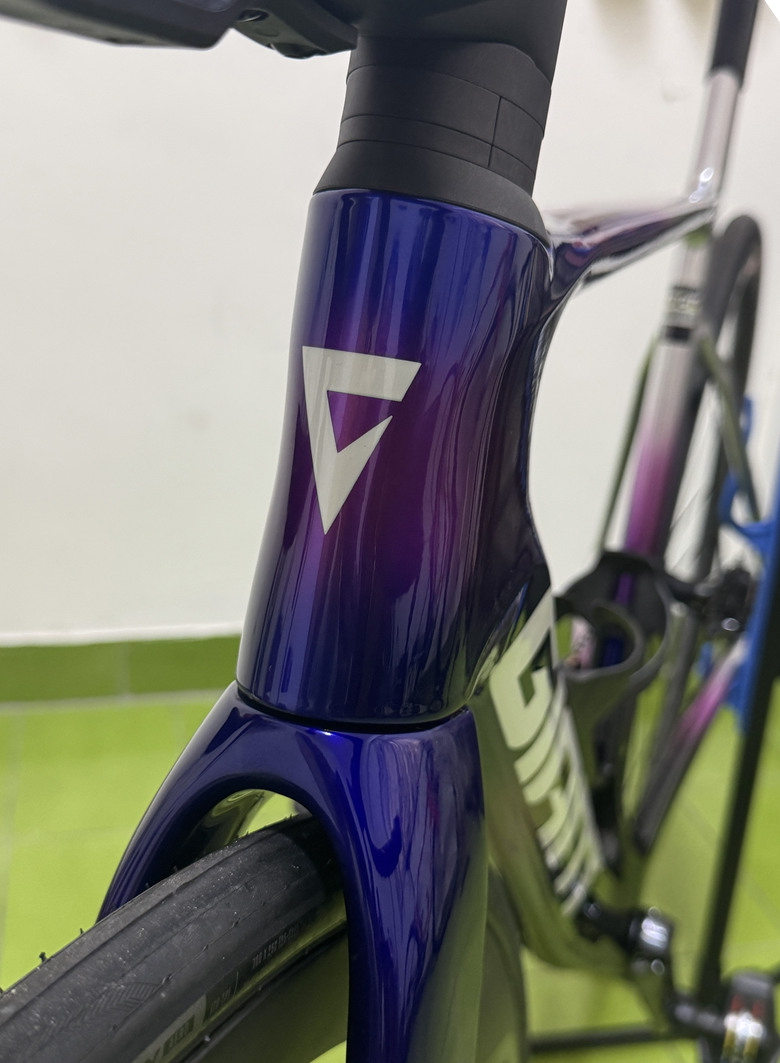 【開箱】Giant 2025 車隊版 Propel Advanced SL