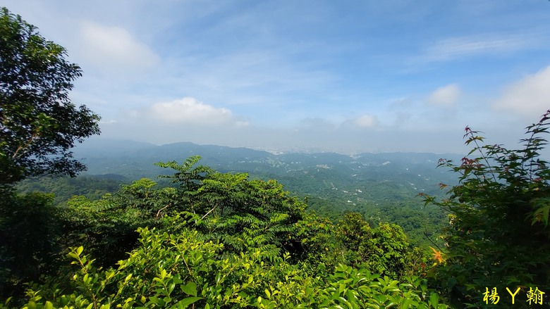 【台灣小百岳】攀登特色圓木棧道 大坑3號步道登頭嵙山