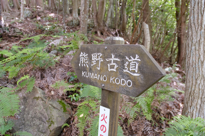 【熊野古道 Kumano Kodo】唯二的世界文化遺產朝聖之路 |中邊路38公里徒步之行