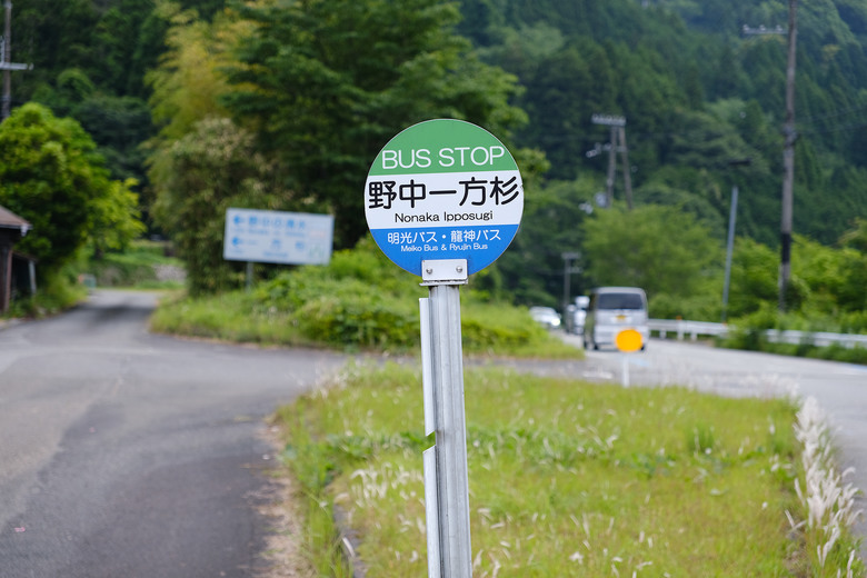 【熊野古道 Kumano Kodo】唯二的世界文化遺產朝聖之路 |中邊路38公里徒步之行