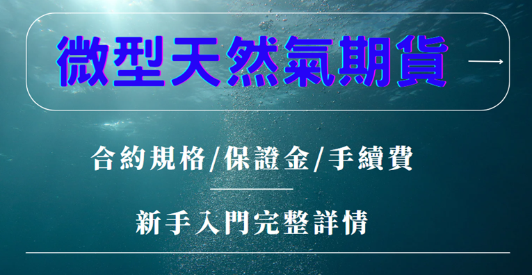 關稅在即 各國政府陸續調整雙邊貿易額 微型天然氣期貨誰適合交易