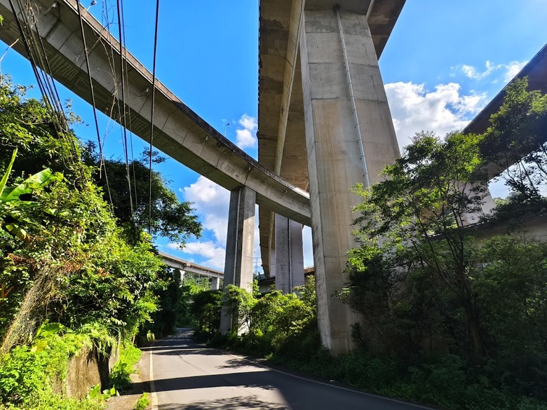 七安、自強產業道路連走｜林蔭單車路線