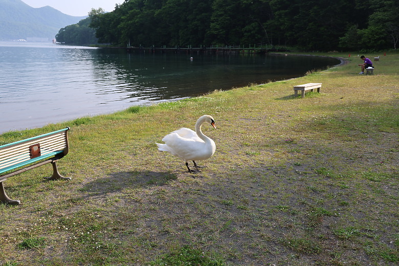 點我看大圖 夏日北海道自由行-洞爺+支笏湖篇(筒倉展望台/有珠山/遊覽船/夏日花火/登別地獄谷/支笏湖/Soul Store湯咖哩)