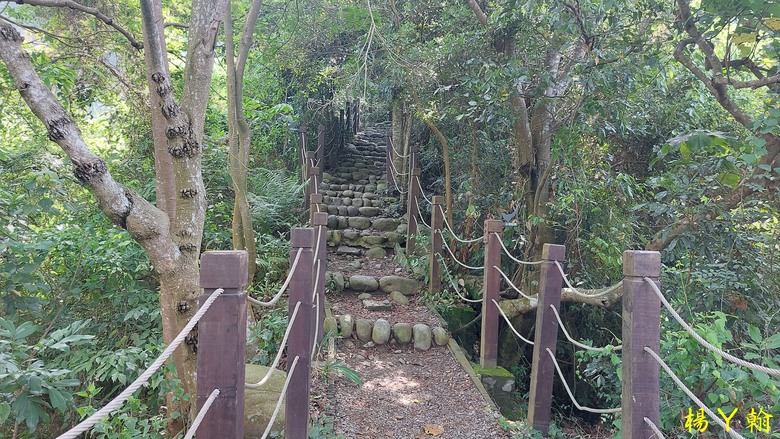 【台灣小百岳】攀登特色圓木棧道 大坑3號步道登頭嵙山