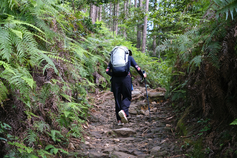 【熊野古道 Kumano Kodo】唯二的世界文化遺產朝聖之路 |中邊路38公里徒步之行
