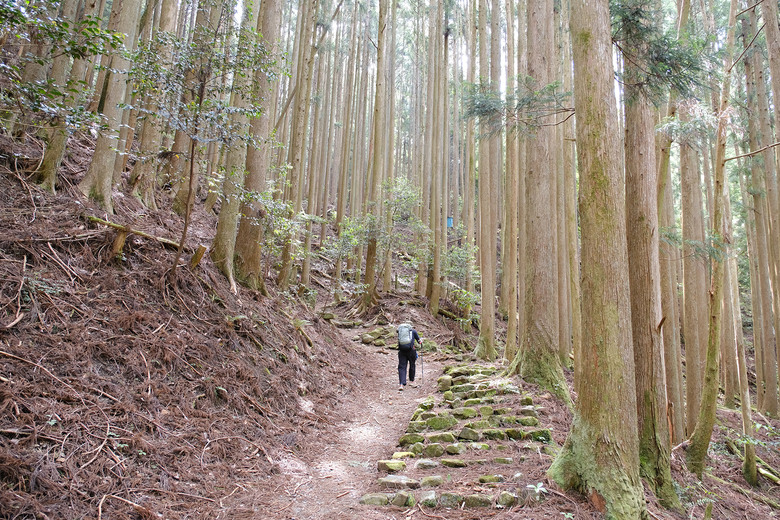 【熊野古道 Kumano Kodo】唯二的世界文化遺產朝聖之路 |中邊路38公里徒步之行