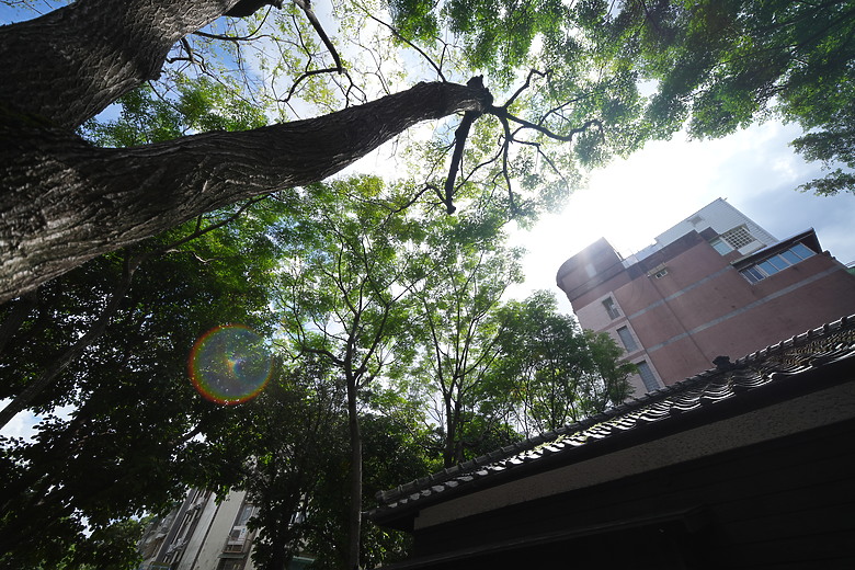 Samyang AF 14-24mm f/2.8 FE 評測報告｜誠意到位、僅 445 公克的超廣角變焦！