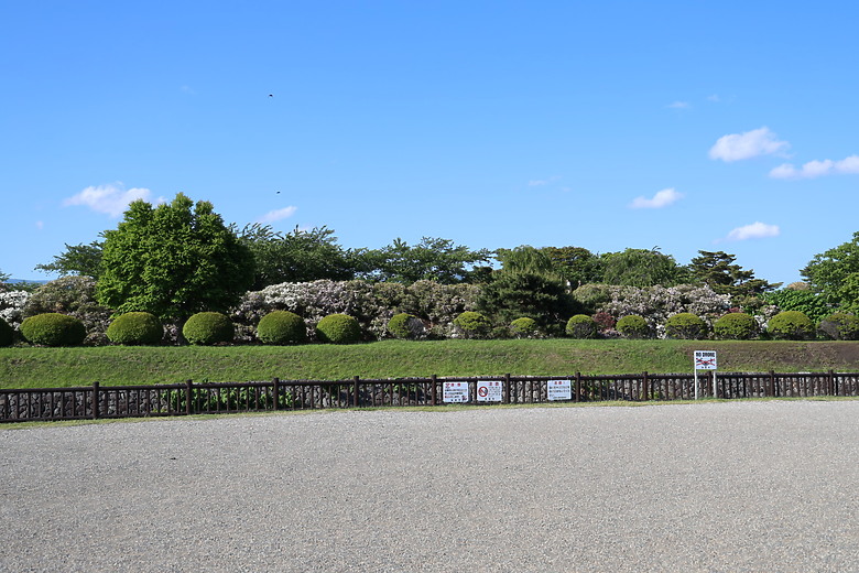 點我看大圖 夏日北海道自由行-函館篇(五稜郭/旬花/大黑屋/函館朝市/金森紅磚倉庫/小丑漢堡/八幡坂/元町/根室花丸/函館山)