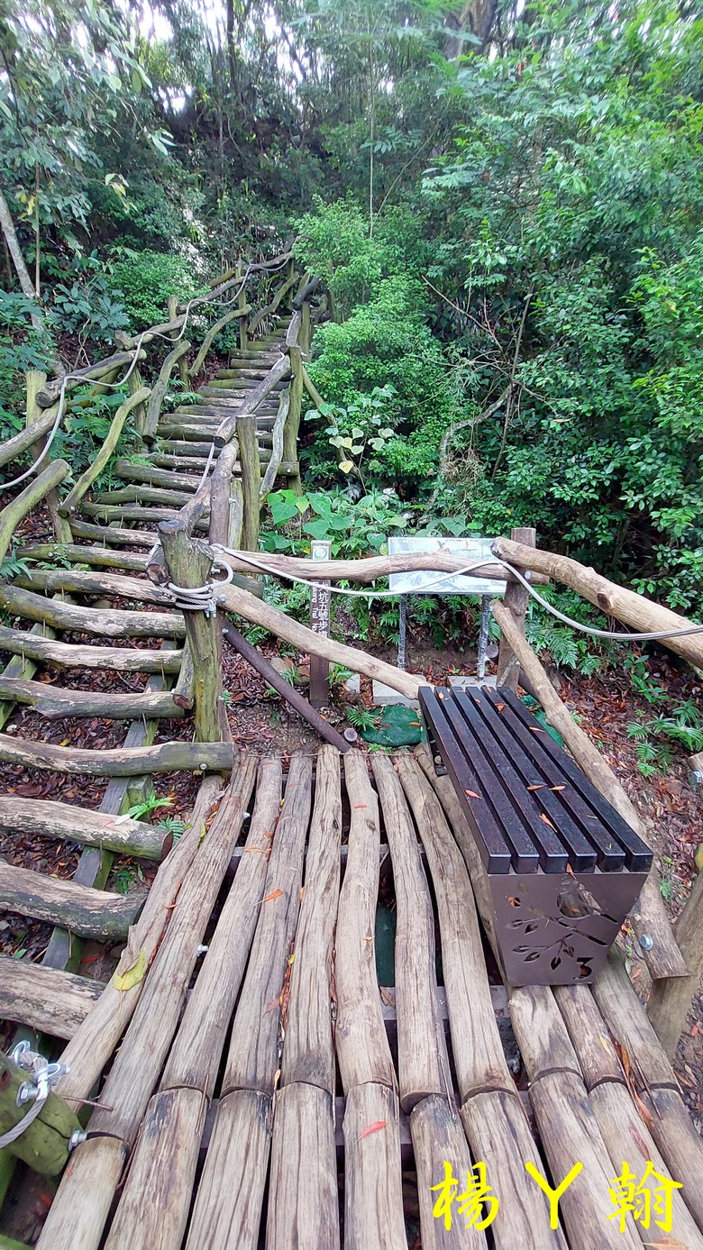 【台灣小百岳】攀登特色圓木棧道 大坑3號步道登頭嵙山