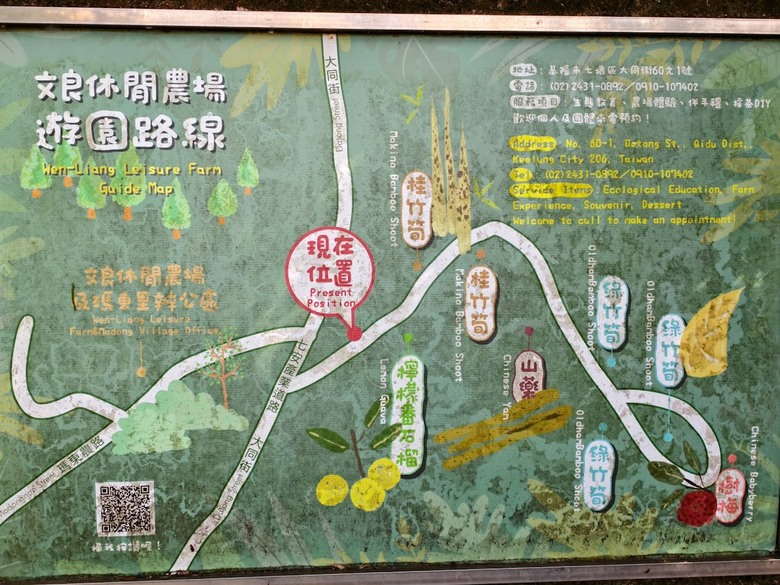 七安、自強產業道路連走｜林蔭單車路線