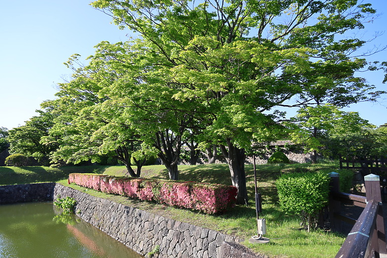 點我看大圖 夏日北海道自由行-函館篇(五稜郭/旬花/大黑屋/函館朝市/金森紅磚倉庫/小丑漢堡/八幡坂/元町/根室花丸/函館山)