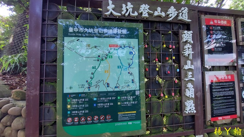 【台灣小百岳】攀登特色圓木棧道 大坑3號步道登頭嵙山