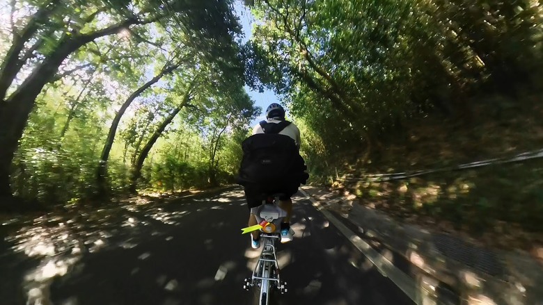 七安、自強產業道路連走｜林蔭單車路線