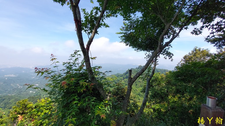 【台灣小百岳】攀登特色圓木棧道 大坑3號步道登頭嵙山