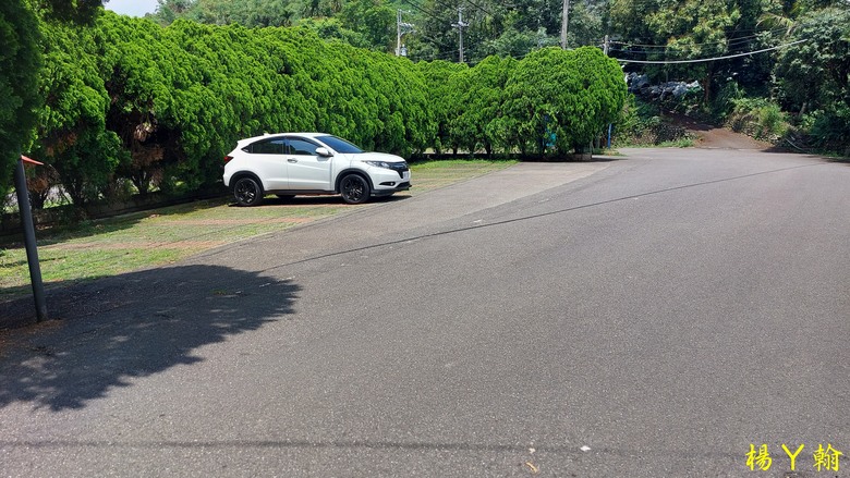 【台灣小百岳】攀登特色圓木棧道 大坑3號步道登頭嵙山