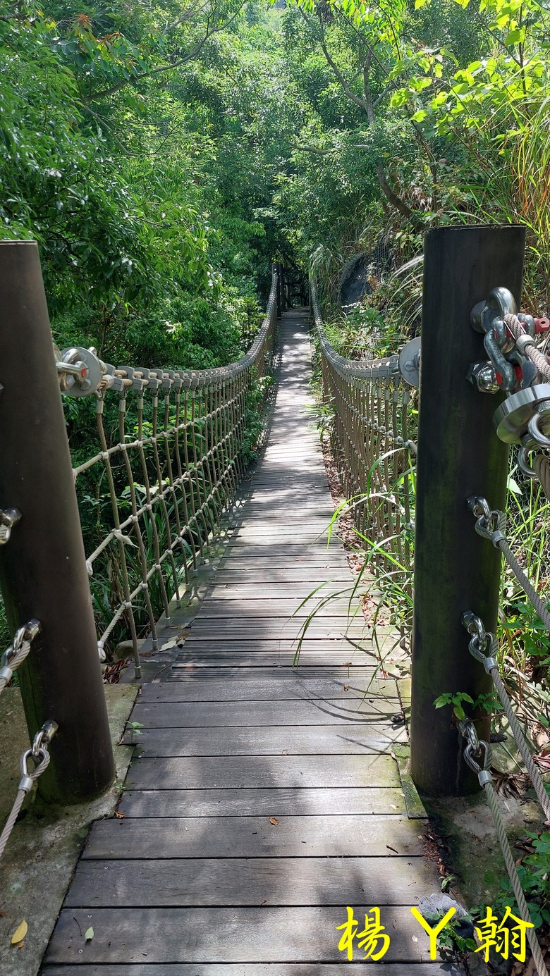 【台灣小百岳】攀登特色圓木棧道 大坑3號步道登頭嵙山