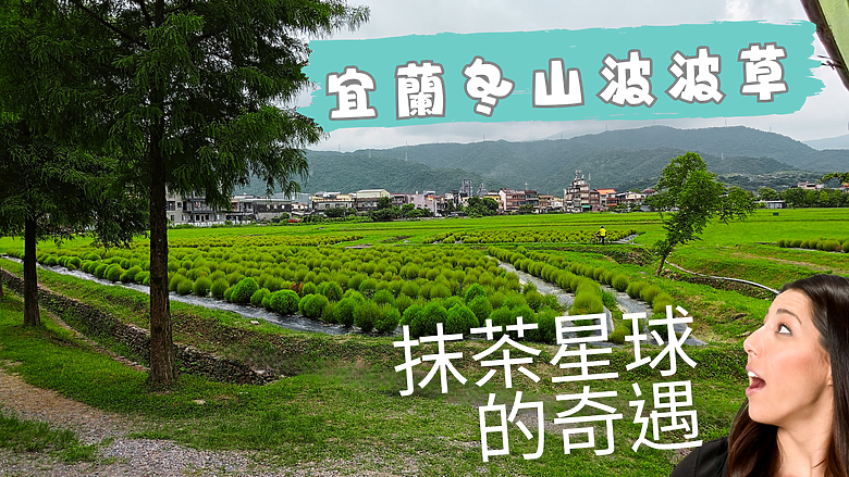 【抹茶星球的奇遇-冬山🧶波波草】新一波👒拍照旅遊景點 #安哥遊蹤