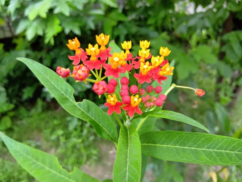 SHARP AQUOS wish5簡單開箱體驗