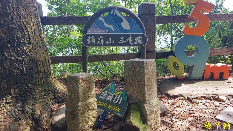 【台灣小百岳】攀登特色圓木棧道 大坑3號步道登頭嵙山
