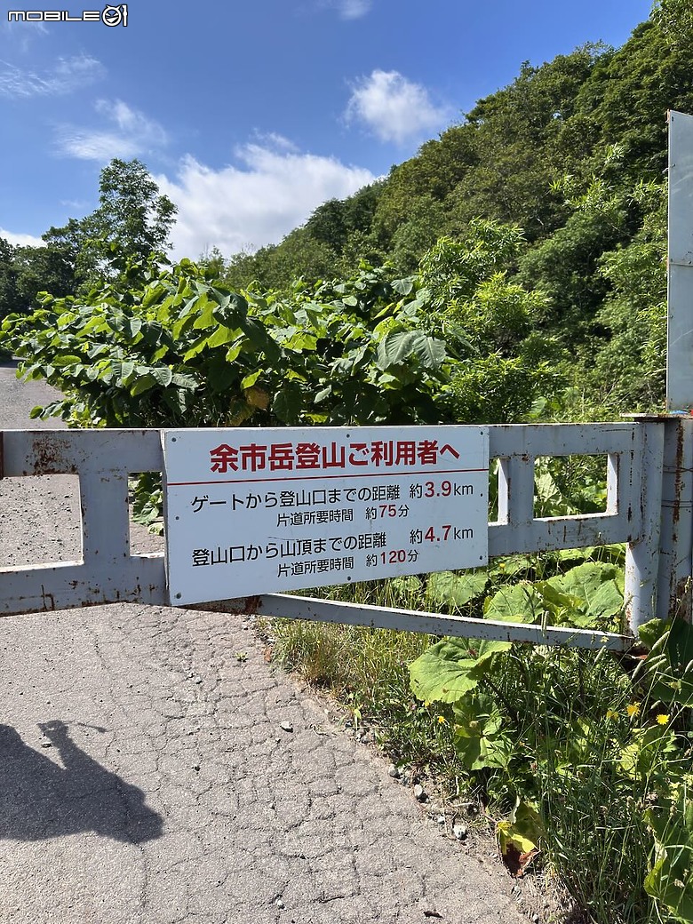 點我看大圖 北海道夏日健行|從 Club Med 出發,輕鬆走進余市岳登山口的森林步道