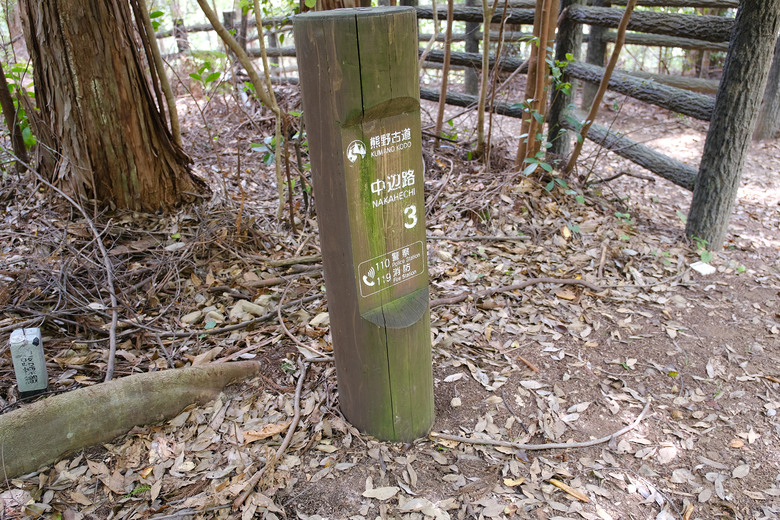 【熊野古道 Kumano Kodo】唯二的世界文化遺產朝聖之路 |中邊路38公里徒步之行