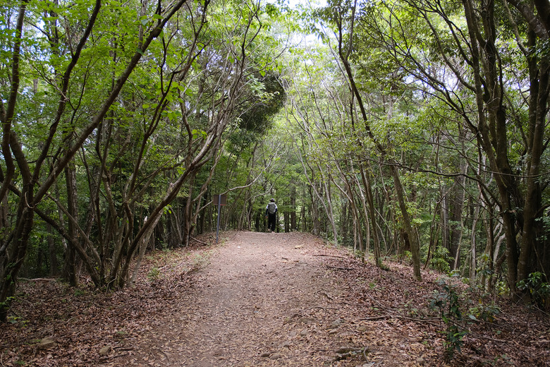 【熊野古道 Kumano Kodo】唯二的世界文化遺產朝聖之路 |中邊路38公里徒步之行