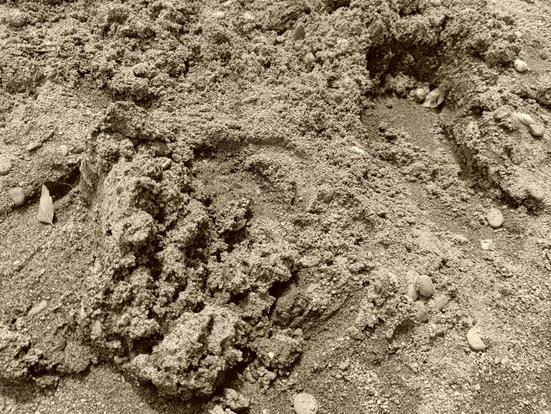 SHARP AQUOS wish5簡單開箱體驗