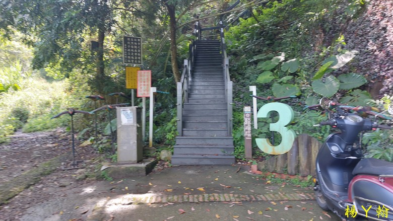 【台灣小百岳】攀登特色圓木棧道 大坑3號步道登頭嵙山
