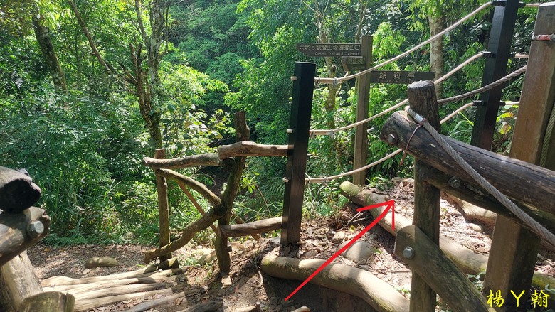 【台灣小百岳】攀登特色圓木棧道 大坑3號步道登頭嵙山