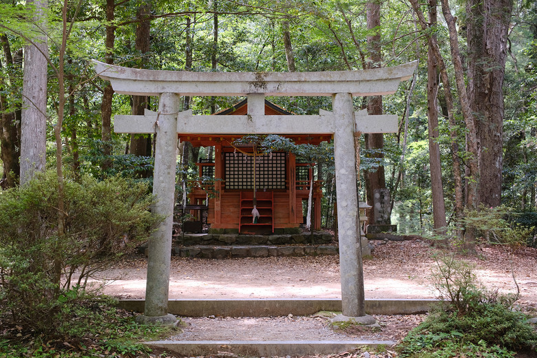 【熊野古道 Kumano Kodo】唯二的世界文化遺產朝聖之路 |中邊路38公里徒步之行