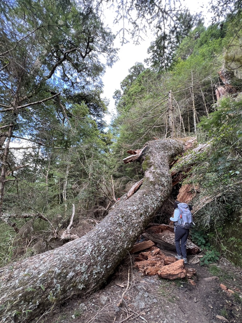 登鈴鳴閂山 ,被颱風追趕