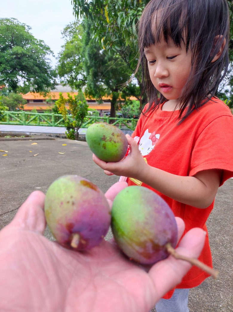 2025，嘉南，小小孩的騎旅，單車日與關仔嶺^_^