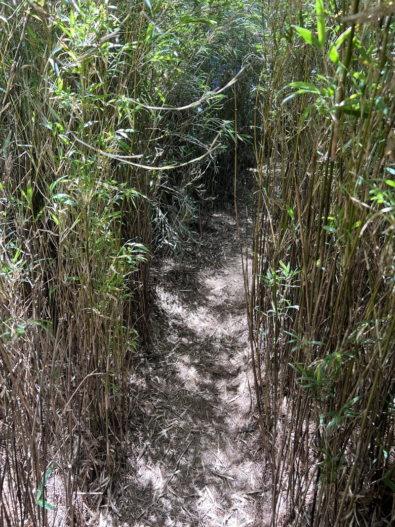 登鈴鳴閂山 ,被颱風追趕