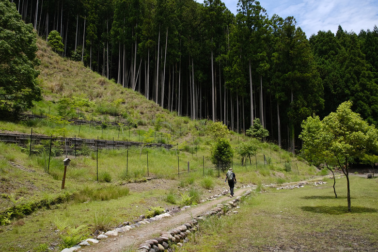 【熊野古道 Kumano Kodo】唯二的世界文化遺產朝聖之路 |中邊路38公里徒步之行