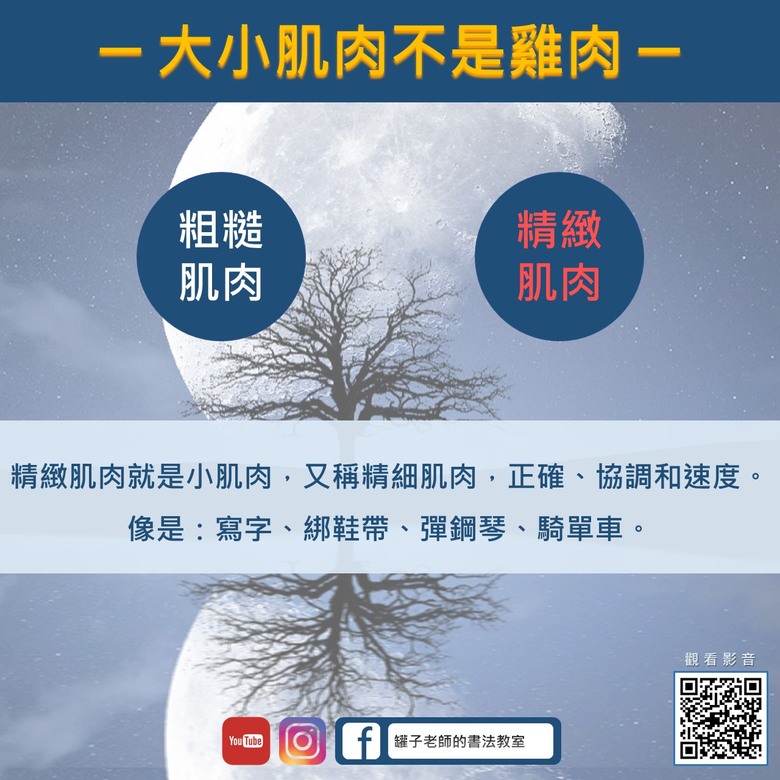 【生理發展】從骨骼發展和精細肌肉觀點談幼兒寫字的適切年齡｜罐子老師的寫字教室、西屯書法家