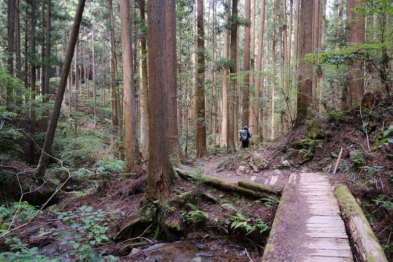 【熊野古道 Kumano Kodo】唯二的世界文化遺產朝聖之路 |中邊路38公里徒步之行