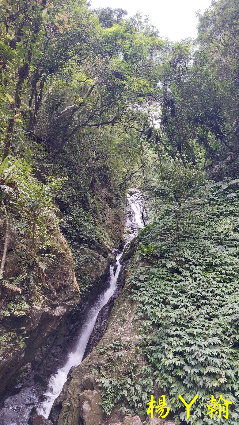 【郊山走走】擁有芬多精及負離子雙重享受的信賢步道