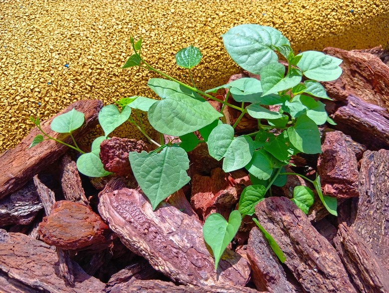 SHARP AQUOS wish5簡單開箱體驗