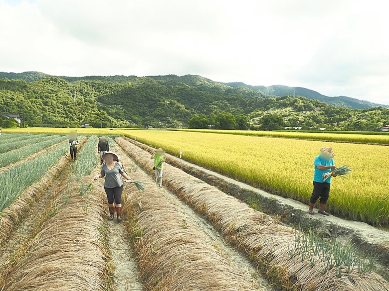 龜山島賞海豚、青蔥農場體驗蔥農生活、享用宜蘭在地無菜單料理 — 讓大腦放空休息一天之員工旅遊