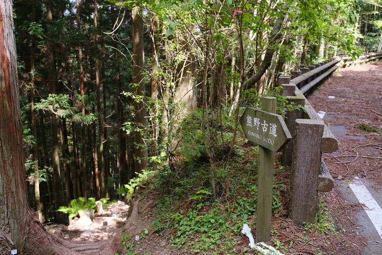 【熊野古道 Kumano Kodo】唯二的世界文化遺產朝聖之路 |中邊路38公里徒步之行