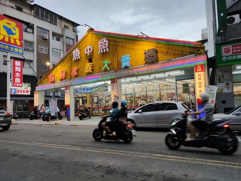 台灣店面不解之謎，安全帽和寵物店為何開超大間還不倒？