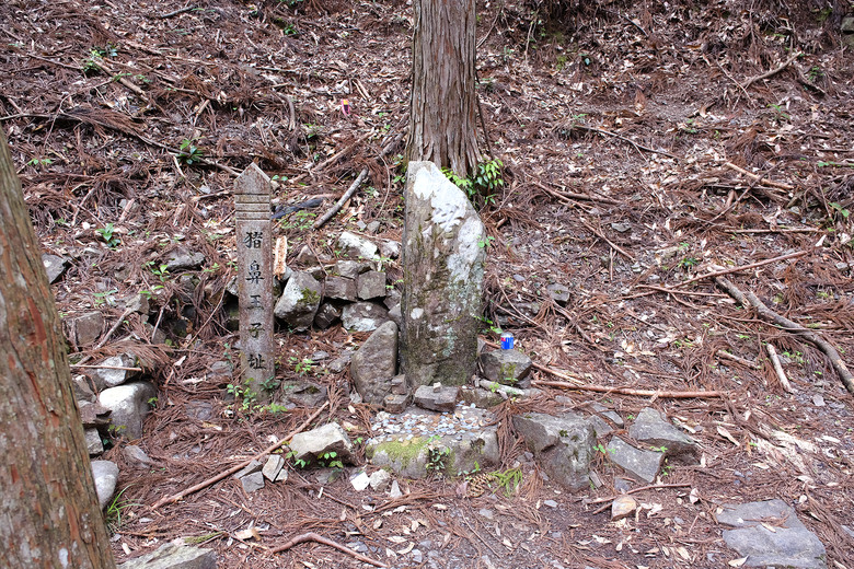 【熊野古道 Kumano Kodo】唯二的世界文化遺產朝聖之路 |中邊路38公里徒步之行