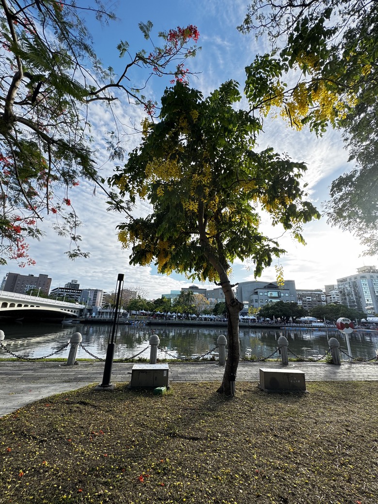 來場說走就走的旅行